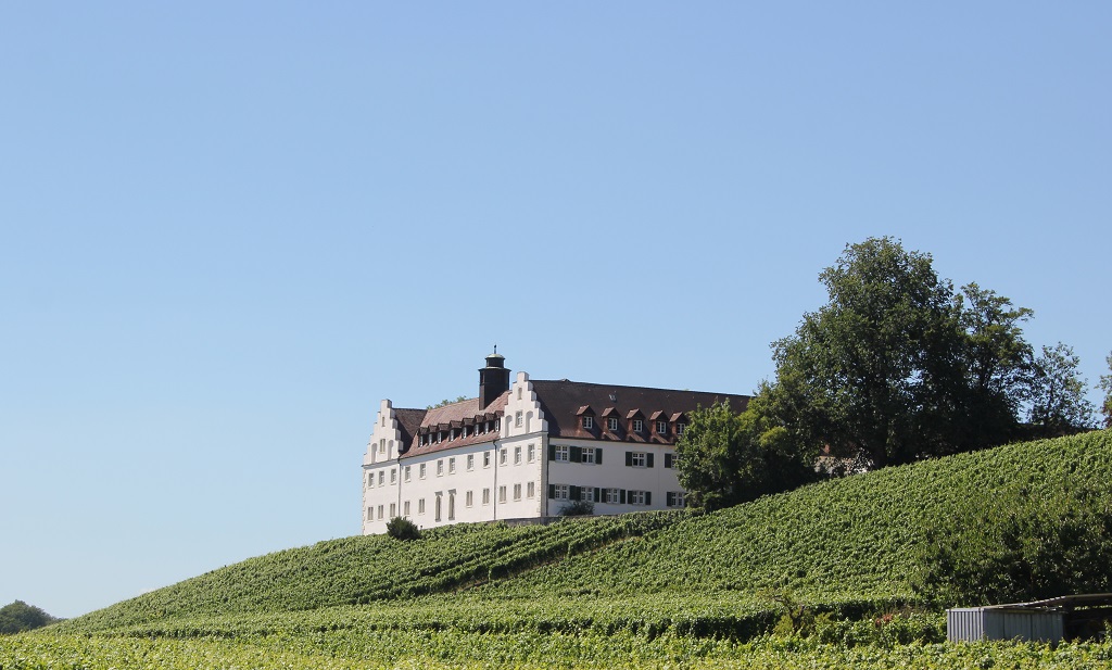 Schloss Hersberg Bergsporn