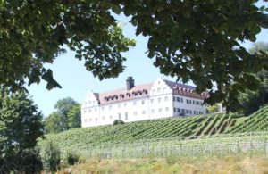 Schloss Hersberg Weinberg