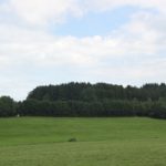 Kapelle am Waldrand Allgaeu