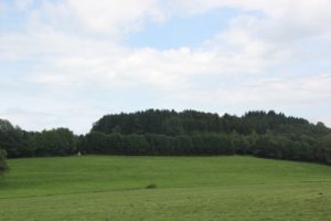 Kapelle am Waldrand Allgaeu