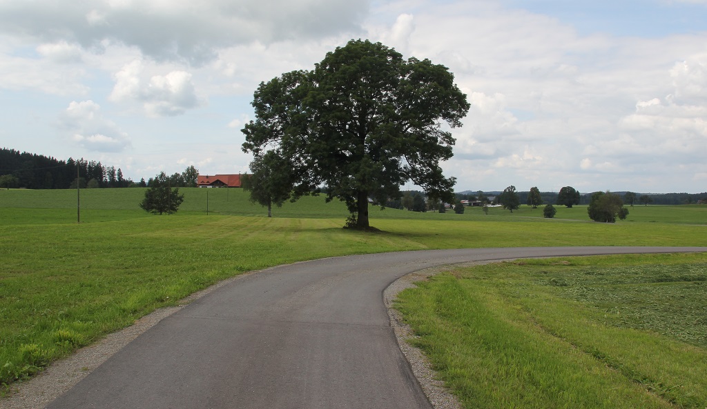 Teerweg Allgaeu