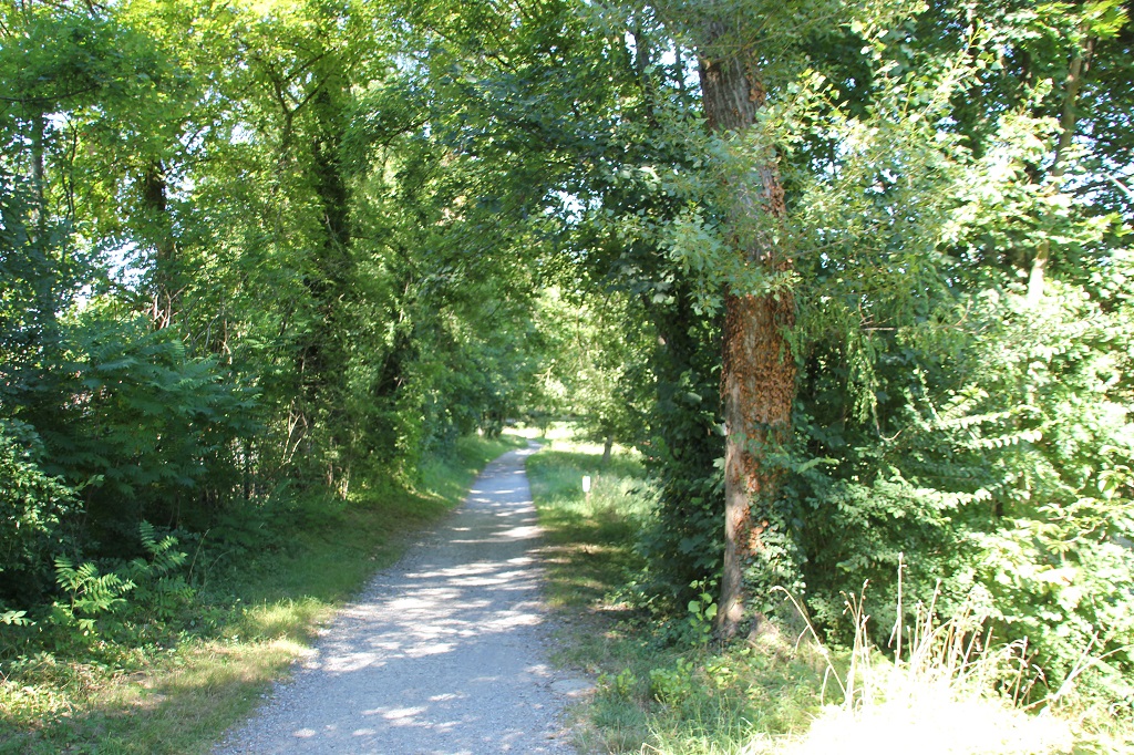 Argen Radweg