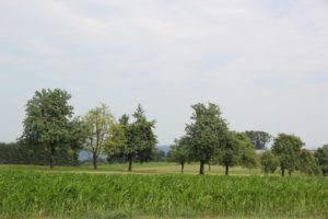 Bergplateau Wanderung Illmensee Wilhelmsdorf