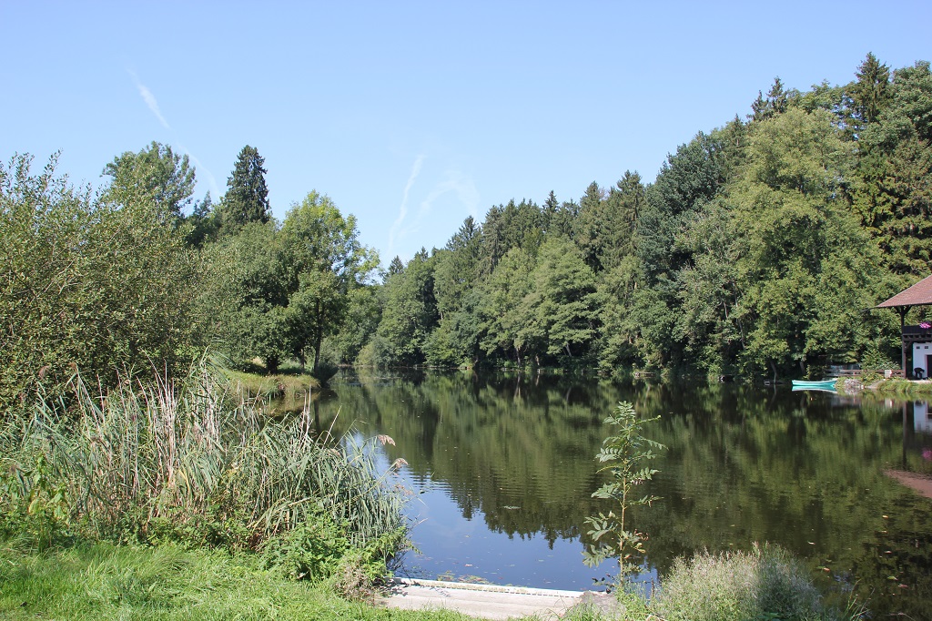 Mahlweiher Girasmoos