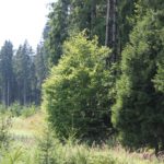 Platz des Wasserbehaelters
