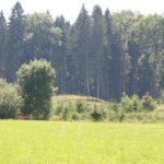 Wallunterbrechung Burgstall Huenlishofen