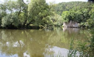 Badestelle Donau Gutenstein Dietfurt