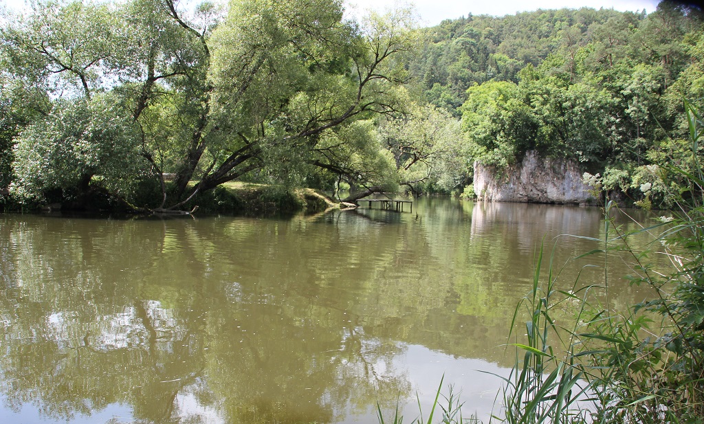 Badestelle bei Gutenstein an der Donau?