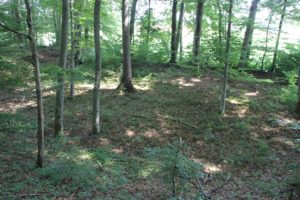 Burgstall Wolfertsreute