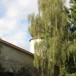 Kirchenschiff Kloster Inzigkofen