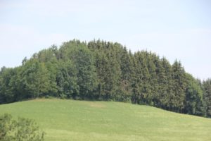 Burghuegel Finsterburg