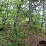 Befestigungsruine Hausen im Tal