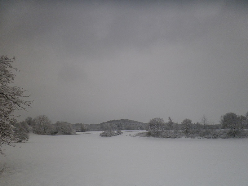 Schnee in Oberschwaben