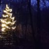 Weihnachts-, Nikolaus- und Adventsmärkte in Oberschwaben 2018 Weihnachtsbaum