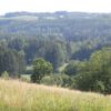 Naturschutzgebiet Krottental-Karbach Krottal