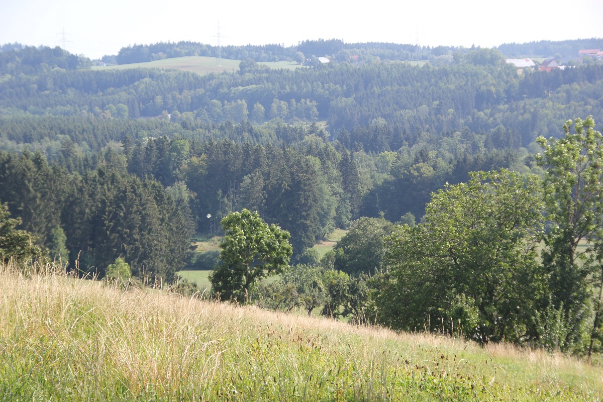 Naturschutzgebiet Krottental-Karbach