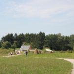 Weg zum Campus Galli und Hecke