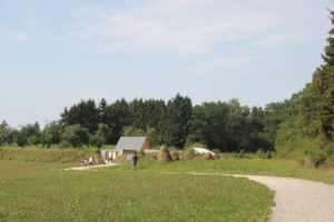 Weg zum Campus Galli und Hecke