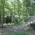 Bike-park Vogt