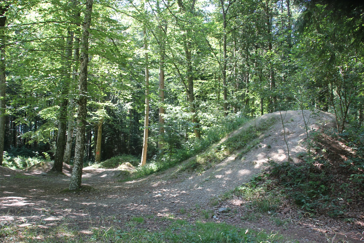 Dirt-Park & Waldspielplatz Vogt