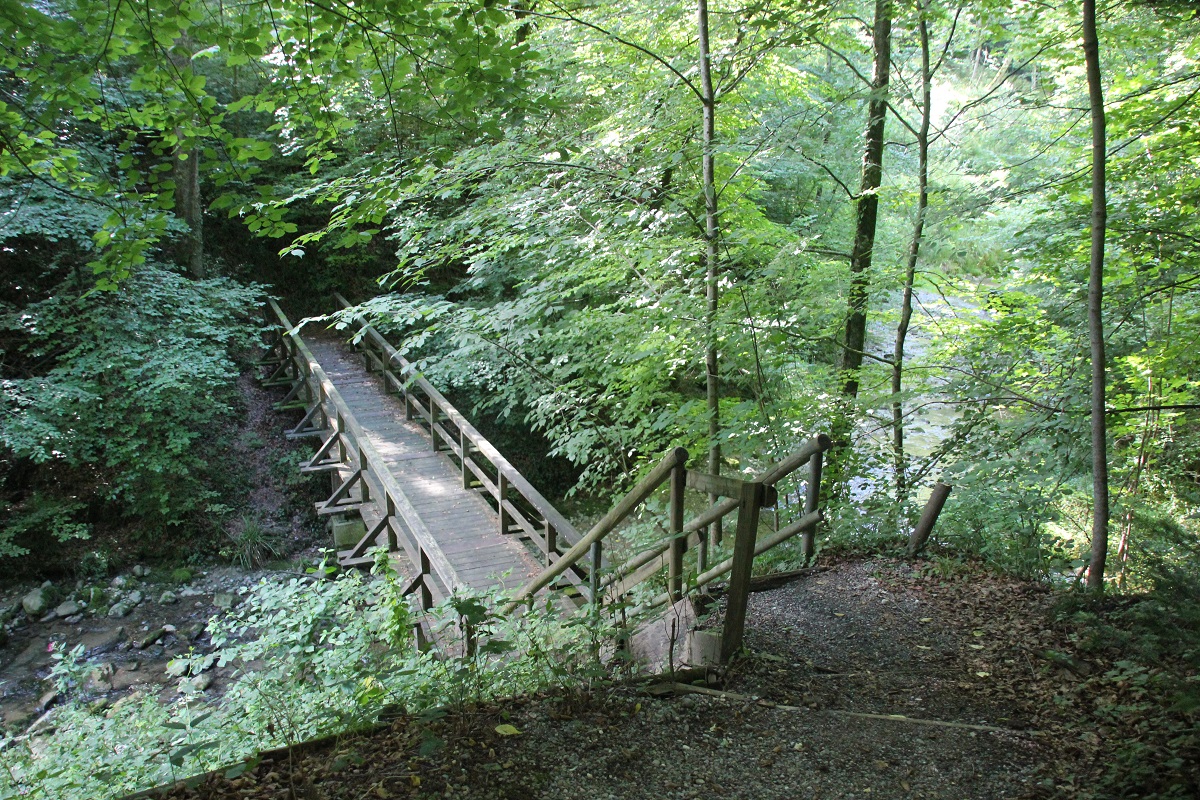 Bruecke über Scherzach Lauratal