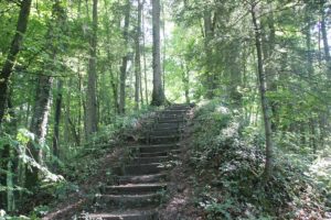 Treppe zur Haslachburg Lauratal