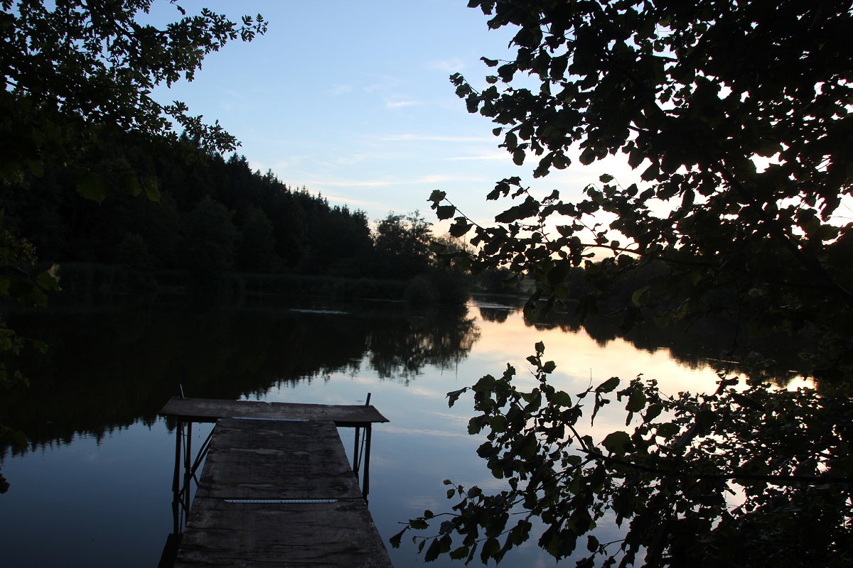 Fischereisteg Holzmuehleweiher Vogt