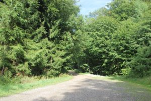 Wanderweg Adelegg