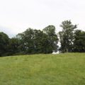 Burgstall unbekannter Burg