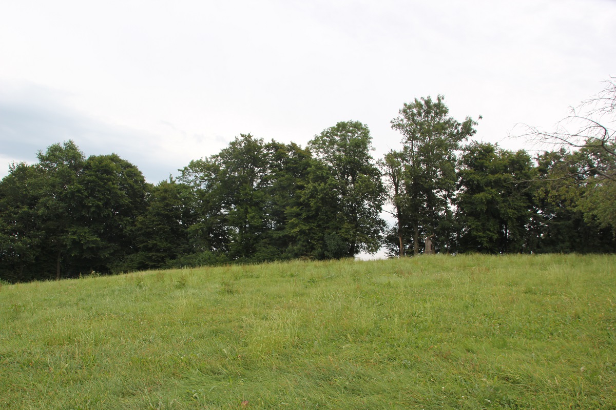 Burgstall über dem Aachtobel bei Hohenbodman