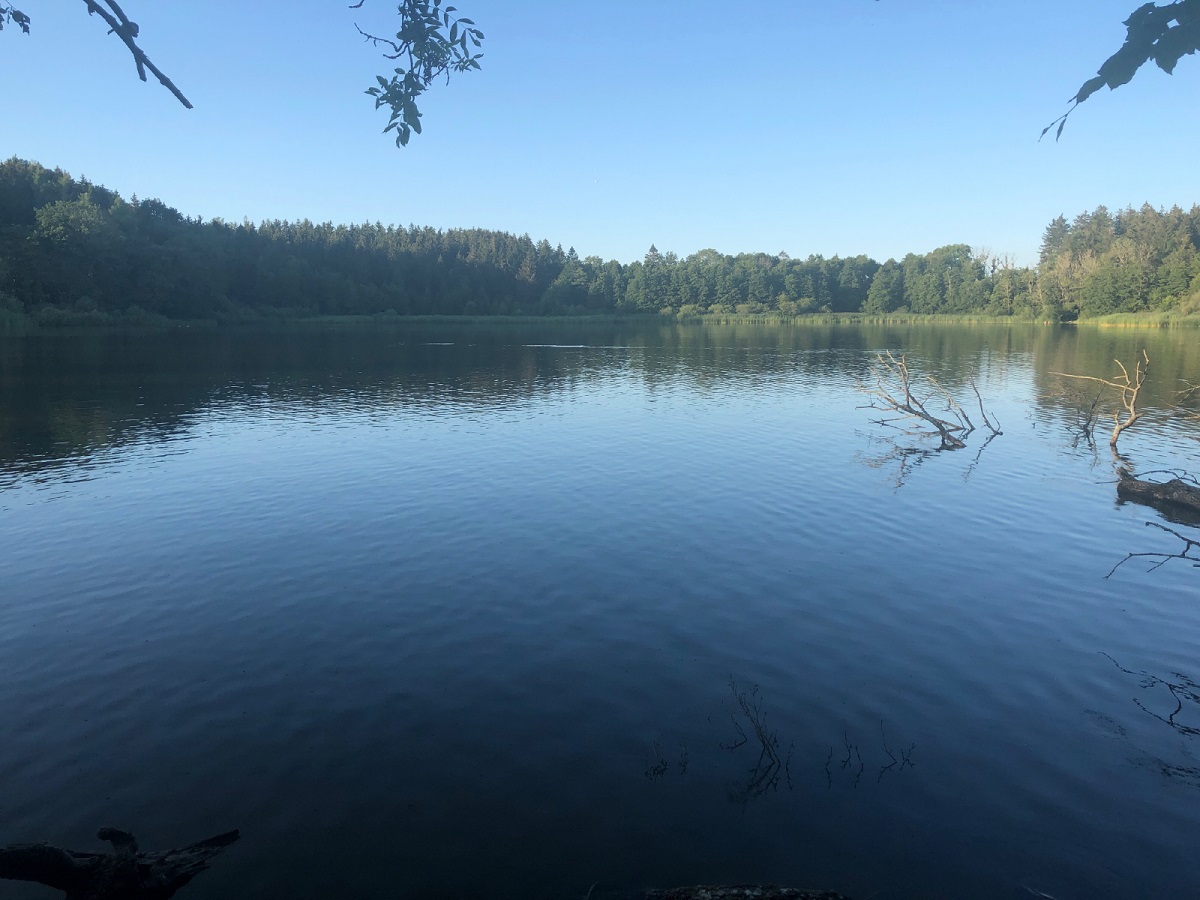 Oberer und Unterer Schlossweiher Ratzenried