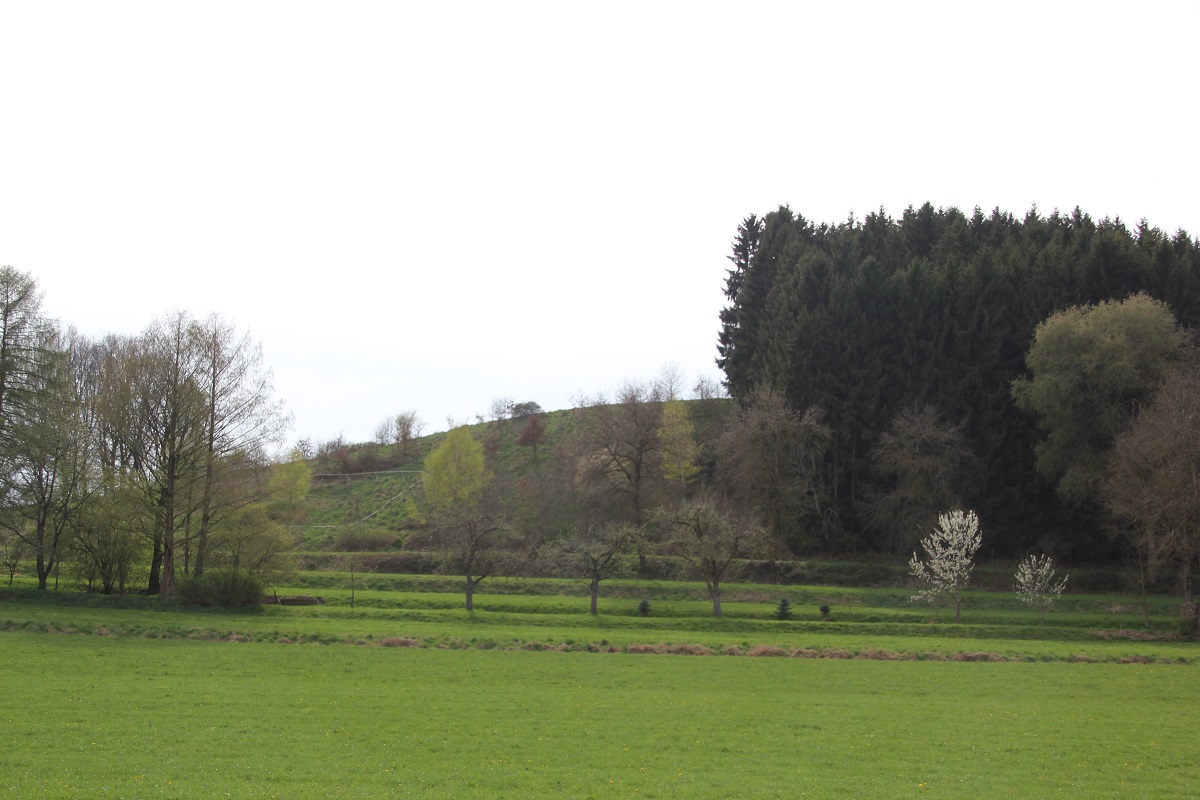 Legende zum Untergang des Schlosses Blutsberg | Zwei Versionen