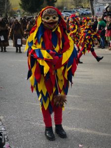 Narrensprung Haidgau 15 Februar 2020 - 16