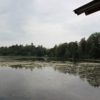 Holzweiher Füramoos / Bellamont | Weiher & Zeltplatz Holzweiher