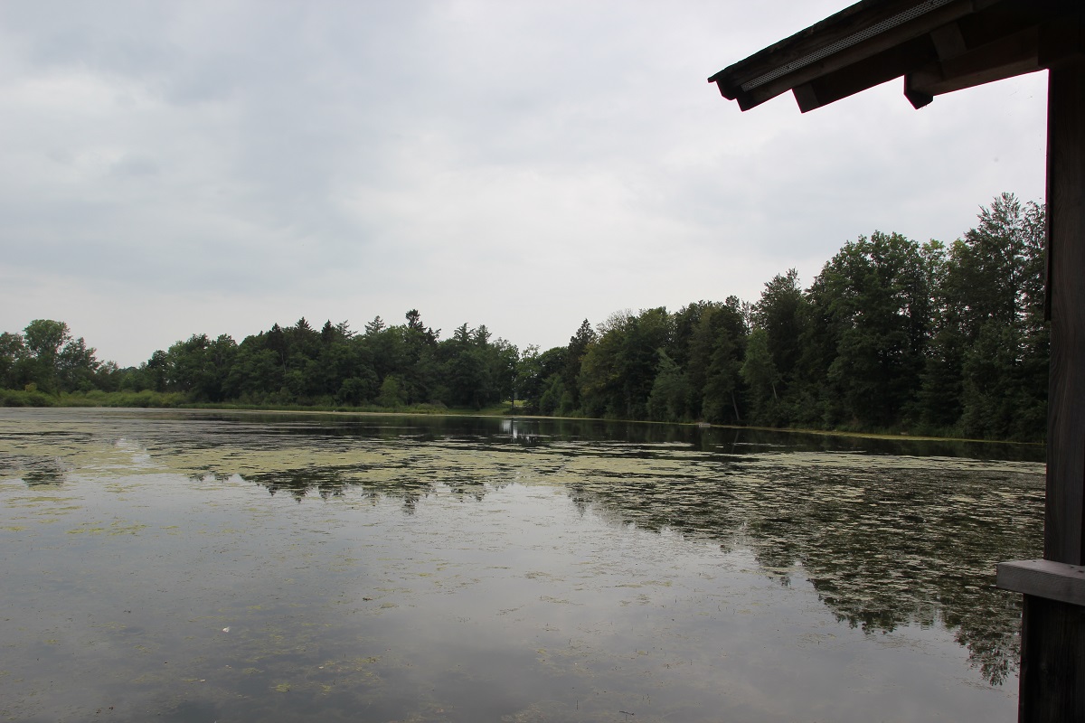 Holzweiher Füramoos / Bellamont | Weiher  & Zeltplatz