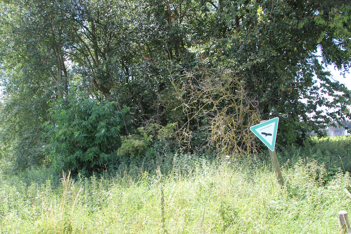 Naturschutzgebiet Wettenberger Hochmoor