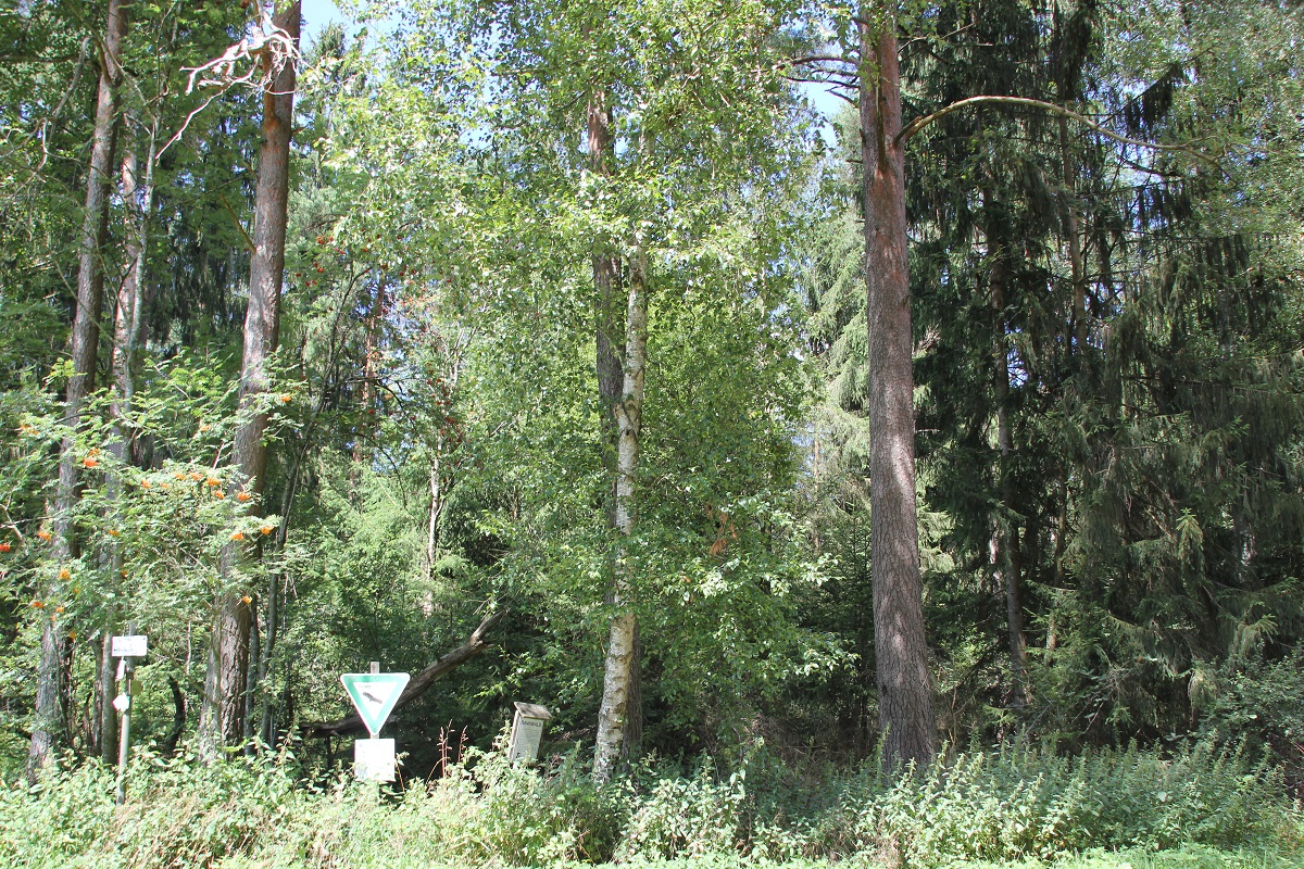 Wettenberger Ried