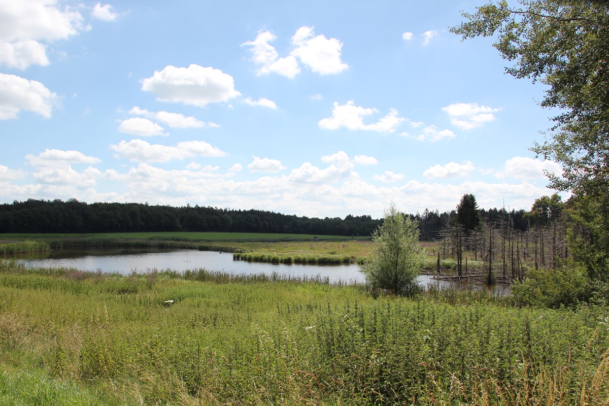 Wettensee Wettenberger Ried
