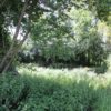 Naturschutzgebiet Mauchenmühle Naturschutzgebiet Mauchenmuehle