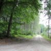 Waldspaziergang bei Gutenzell / Erolzheim Erolzheimer Wald