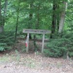 Schild Winterhaldenweg Erolzheimer Wald