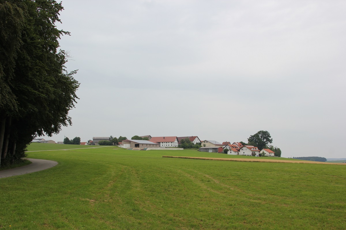 Oberschwarzach Burgstall Tannenberg