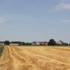 Burgstall Irrenberg bei Ebersbach-Musbach Grabenwall Burgstall Irrenberg