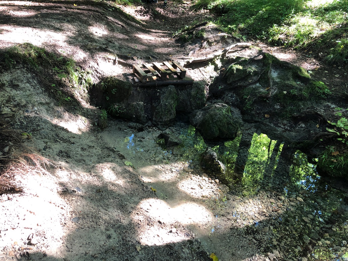 Keltenstein Weissenbronnen im Altdorfer Wald