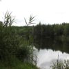 Ilgenweiher bei Niedernzell Einstieg zum Ilgenweiher Niedernzell