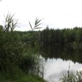Einstieg zum Ilgenweiher Niedernzell