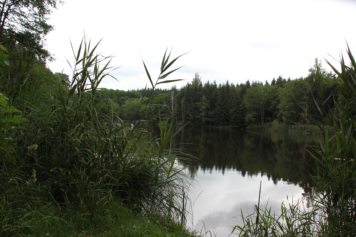 Einstieg zum Ilgenweiher Niedernzell