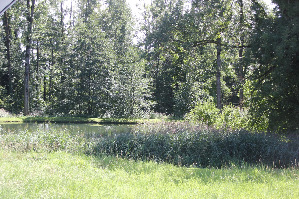 Burgstall und Weiher Sigmarshofen