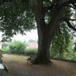 Bank unter Baum Kirche Eggmannsried