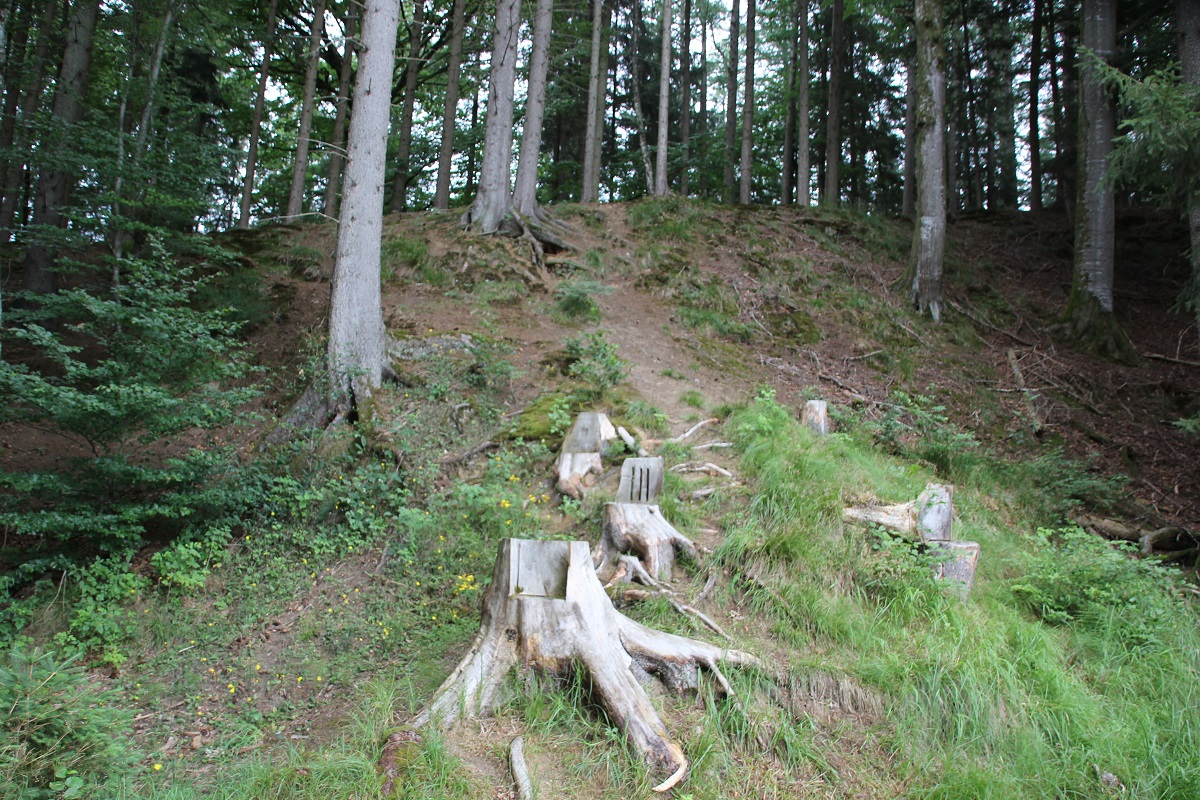 Burgstall Schlüsselberg bei Niedernzell